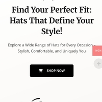 Ecommerce Website for a hat maker
