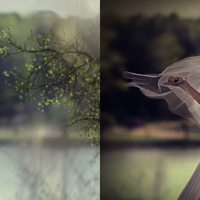 Portfolio Thumbnail 0