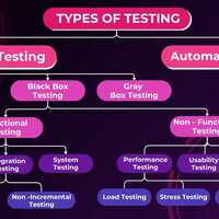 SQA Services 2