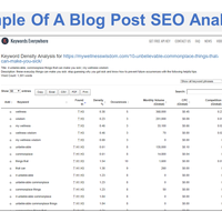 B) Blog Post: SEO Analysis