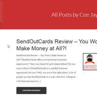 Blog Writing (Bare Naked Scam) 1