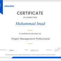 Certified Project Managment Professional