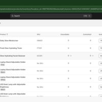 Shopify Practice Store Setup