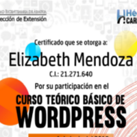 Wordpress Course