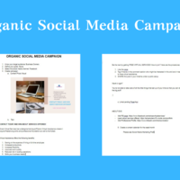 Organic Media Campaign