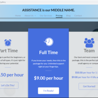 Web Design via 1&1 Ionos - Virtual Expansion Team