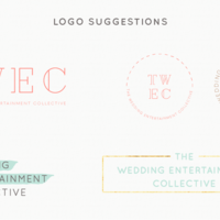 The Wedding Entertainment Collective Branding