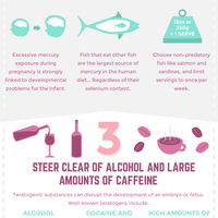 What You Can't Eat When Pregnant Infographic