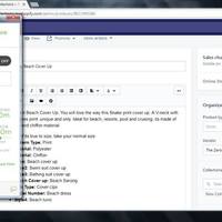 Content Writer