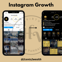 Instagram Growth result for @2cents2wealth