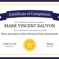 Advanced Data Annotation