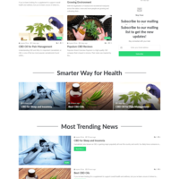 Logo and full custom website design I developed