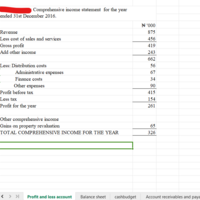 Excel Computation of P&L