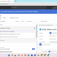 Project Management Using Asana