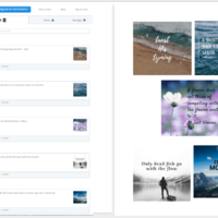 Social Media Management