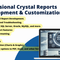 Professional Crystal Reports Design Development