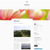 WordPress Management