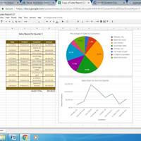 Excel with pie chart and line graph