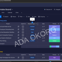 Monday.com Project Management and Automation