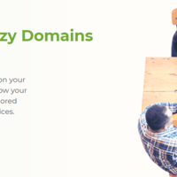 Crazy Domains Partnership Program