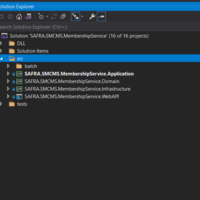 Synergy Project solution Screenshot