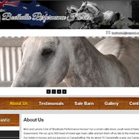 http://boothullaperformancehorses.com.au/