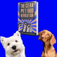 Blog banner