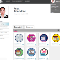 Virtual Assistant Training Badges