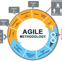 Agile Project Management
