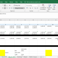 MS Excel sample