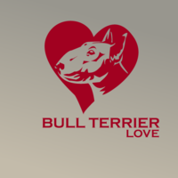 Portfolio Thumbnail 9