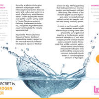 Article Layout