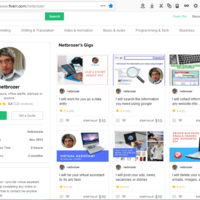Virtual Assistant at www.fiverr.com/netbrozer