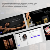Shopify website development