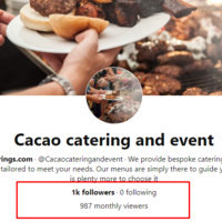 Pinterest followers ads campaign result