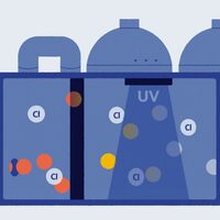 2D motion graphics - explainer videos