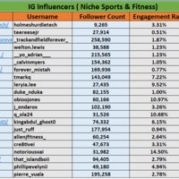 IG Influencer Research