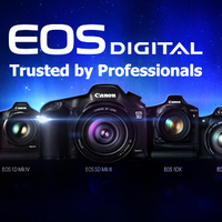 Portfolio Thumbnail 10