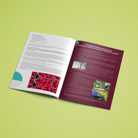 Food Safety Brochure