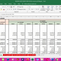 Balance Sheet Budgte Monitoring