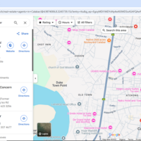 Customer Research - Google Maps