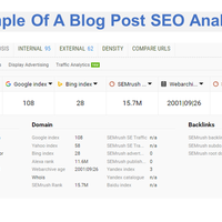 C) Blog Post: SEO Analysis