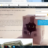 Blog Writing - WordPress Management