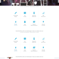 Shopify Premium theme modification