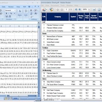 PDF to Excel