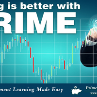Prime banner design