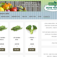 WordPress Woocommerce Theme Design