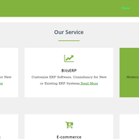 Responsive Website