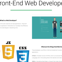 Managing WordPress, updating themes and plugins.