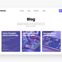 Portfolio Thumbnail 5